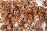 Lot: Small Twinned Aragonite Crystals - Pieces #78108-3